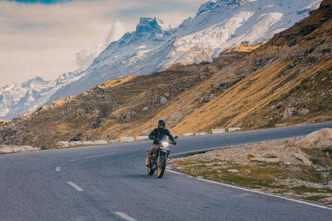 RE_HIMALAYAN_LEO-1526