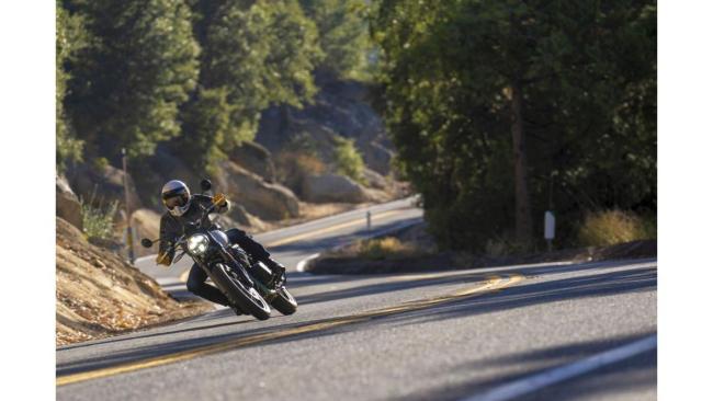 RoyalEnfield_Bear650_act_129